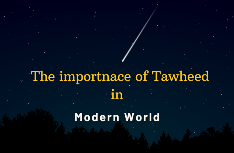 Tawheed Ranya The importance of tawheed in Modern Times - TDF News