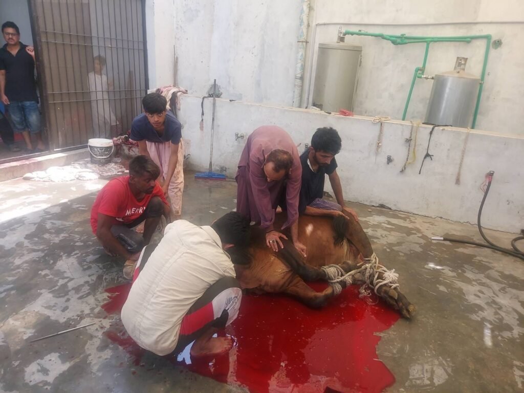 98e08154 9263 4dac 9e3e 292c6095d4a2