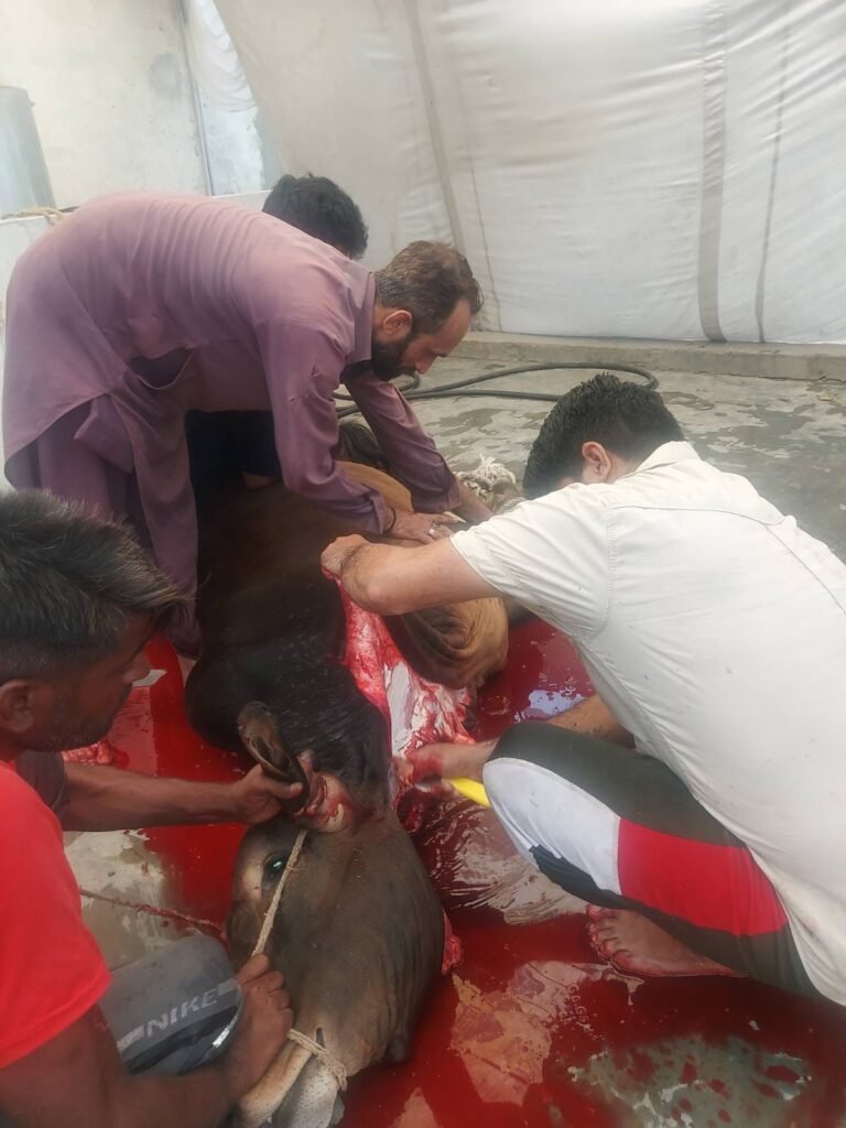 WhatsApp Image 2025 06 07 at 10.37.15 AM