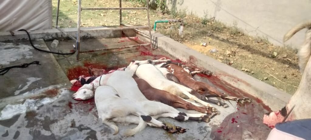 WhatsApp Image 2025 06 07 at 8.18.05 AM