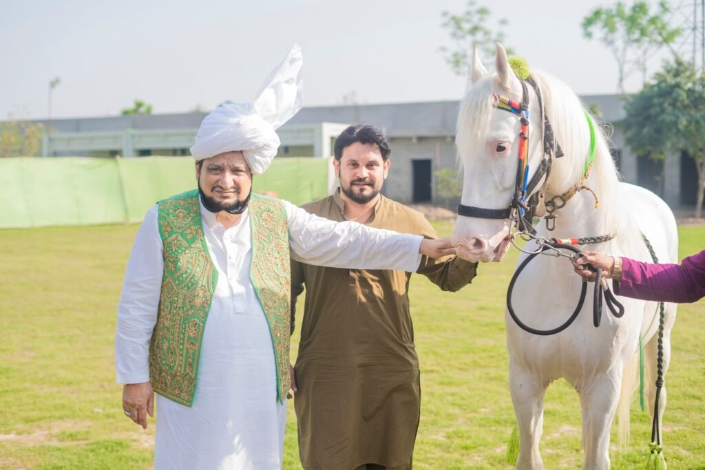 Horse Chan presented to Sultan-ul-Faqr VII Sultan-ul-Ashiqeen Sultan Mohammad Najib-ur-Rehman by Malik Hassan Raza Khokhar