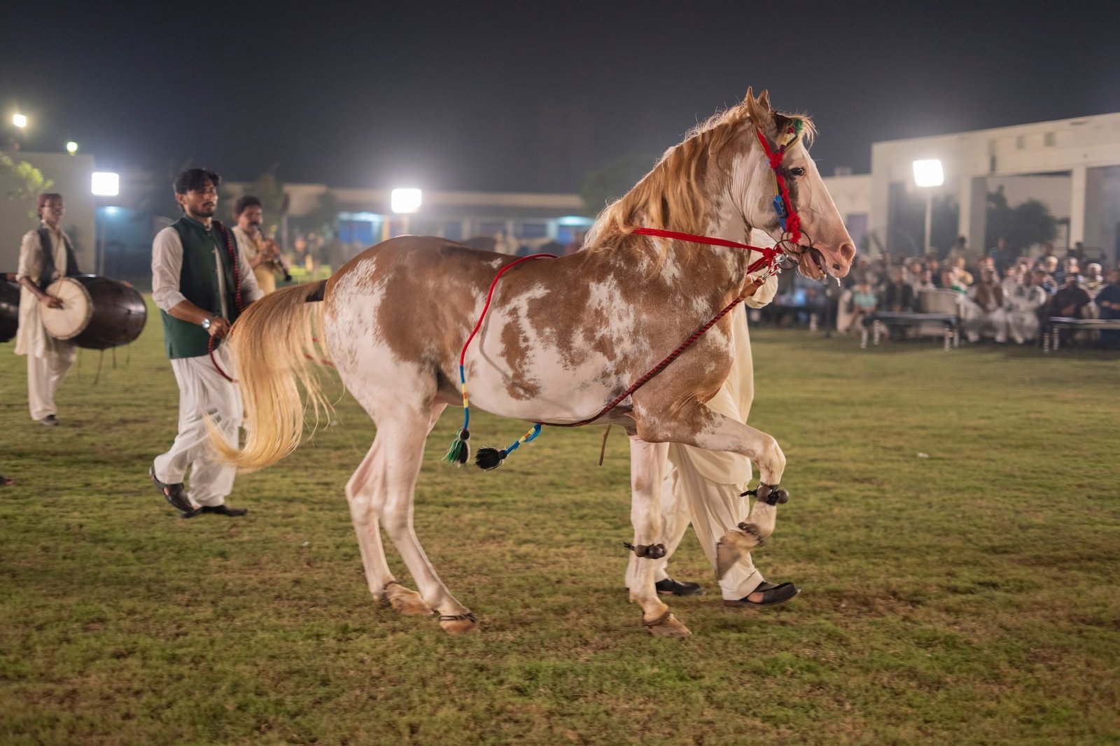 Sultan-ul-Ashiqeen Day Gathering Image 12