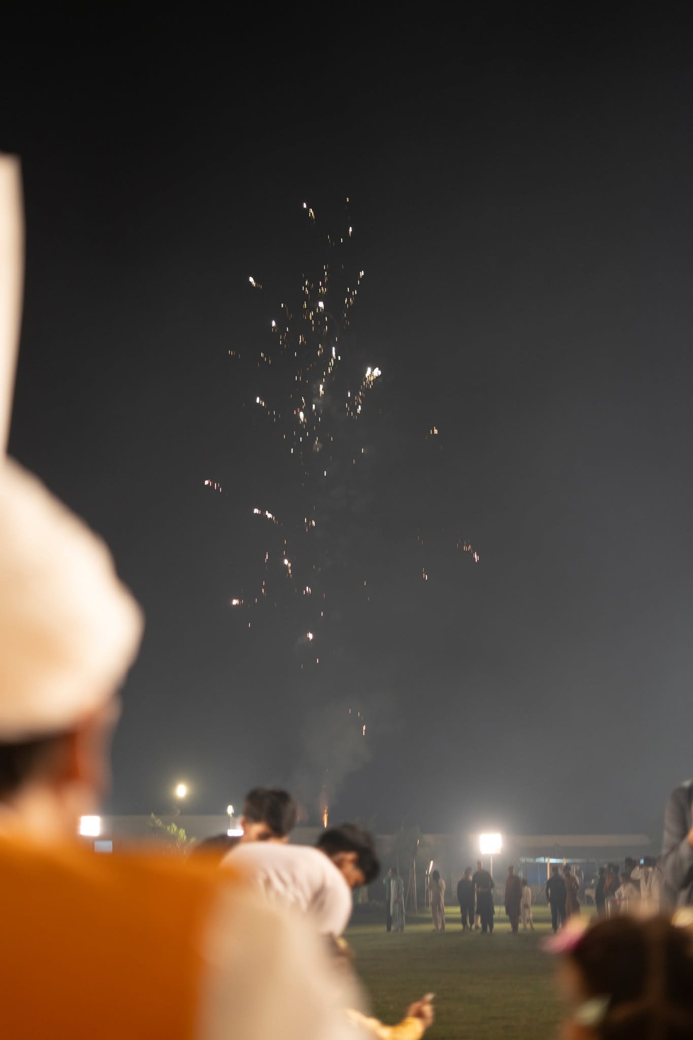 Sultan-ul-Ashiqeen Day Gathering Image 17