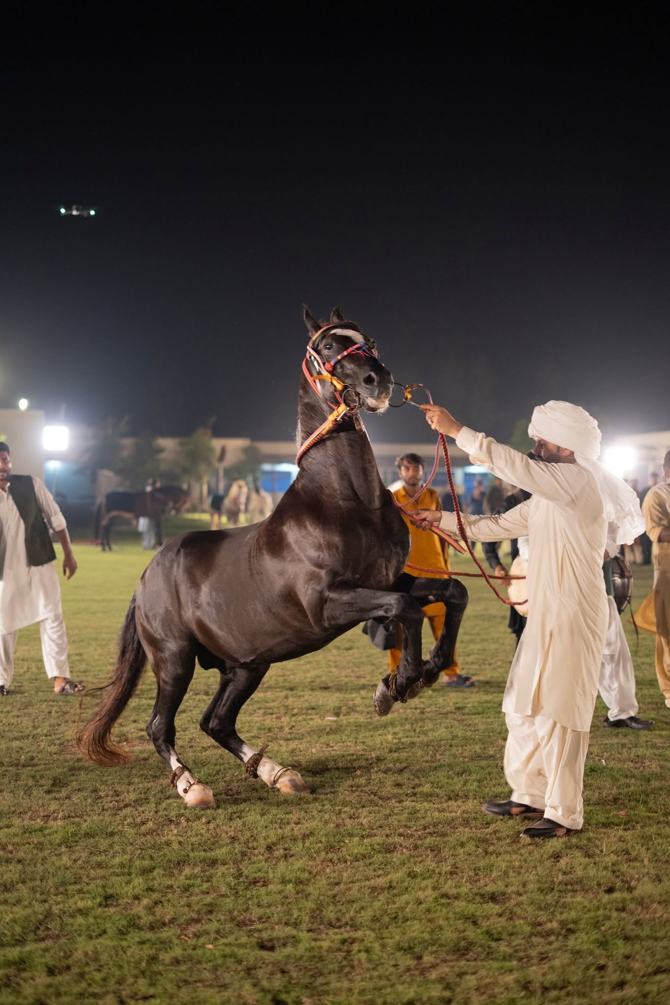 Sultan-ul-Ashiqeen Day Gathering Image 10